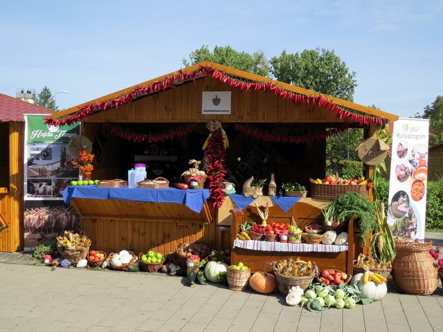 Megyei Közfoglalkoztatási Kiállítás 001